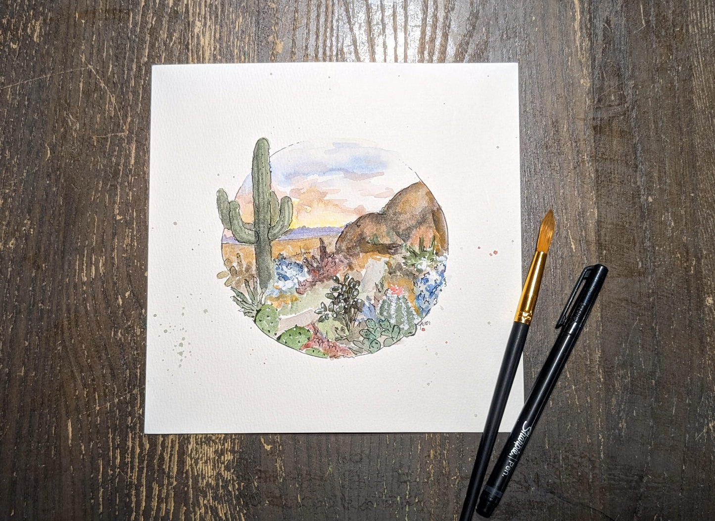 Saguaro National Park 8 x 8 Print