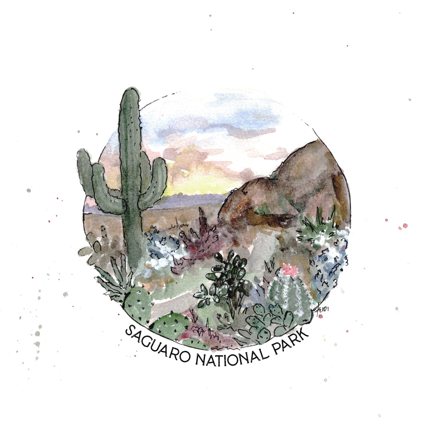 Saguaro National Park 8 x 8 Print